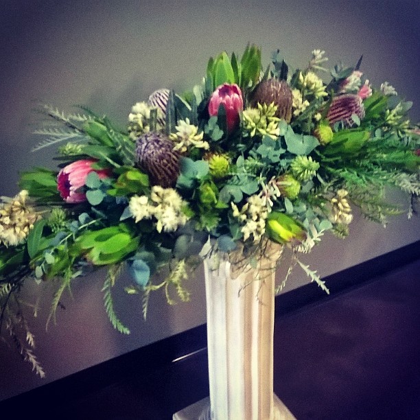 13277600_1548877558741671_662261227_n - Copy