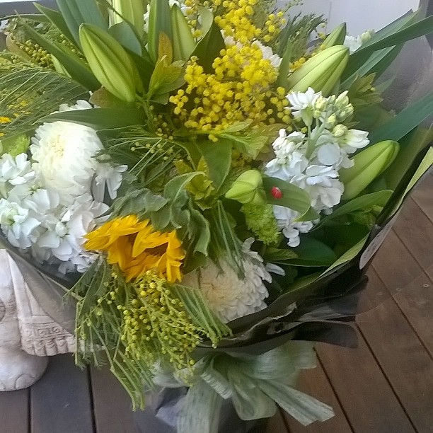 13745047_922069161255663_382342388_n - Copy