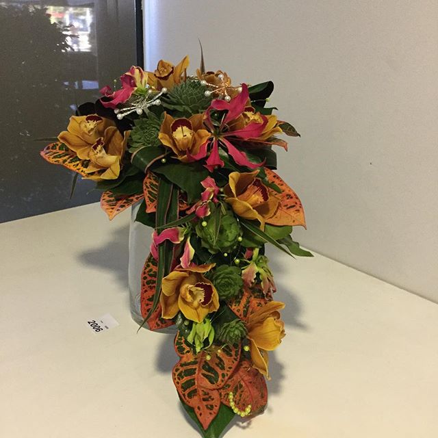 17818987_1516237155085623_9136830443000168448_n