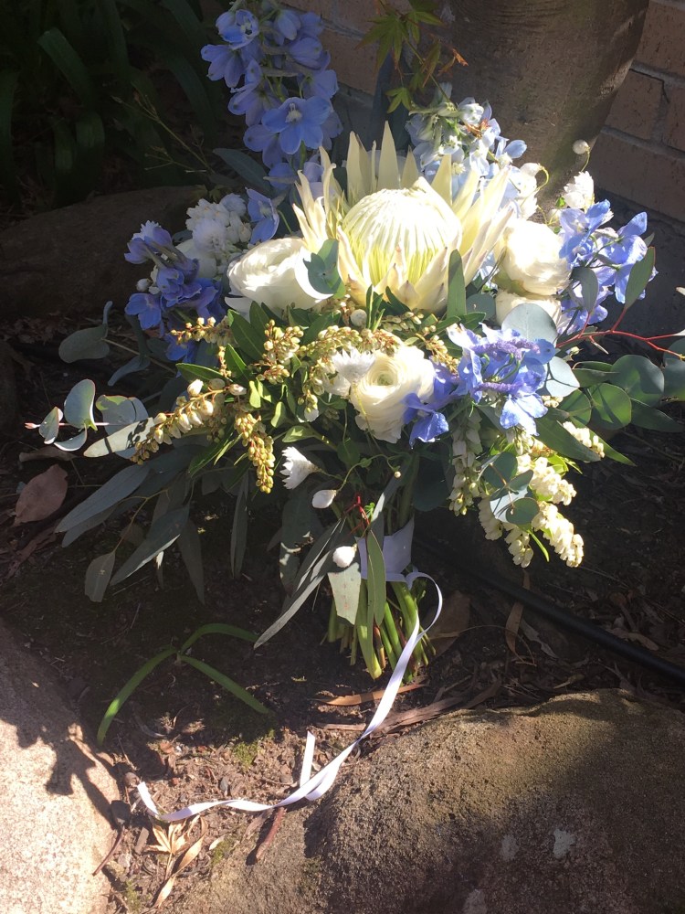 1C6B5928-6451-43FA-87CB-CEA51D92F1EC