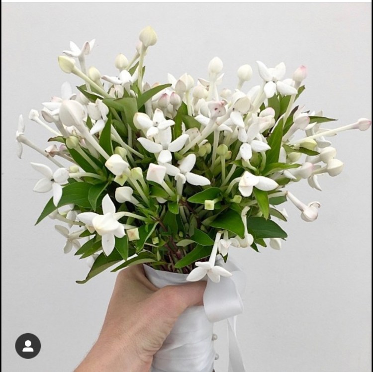 93C90AD1-2056-468C-A100-48B7BBC67DEE